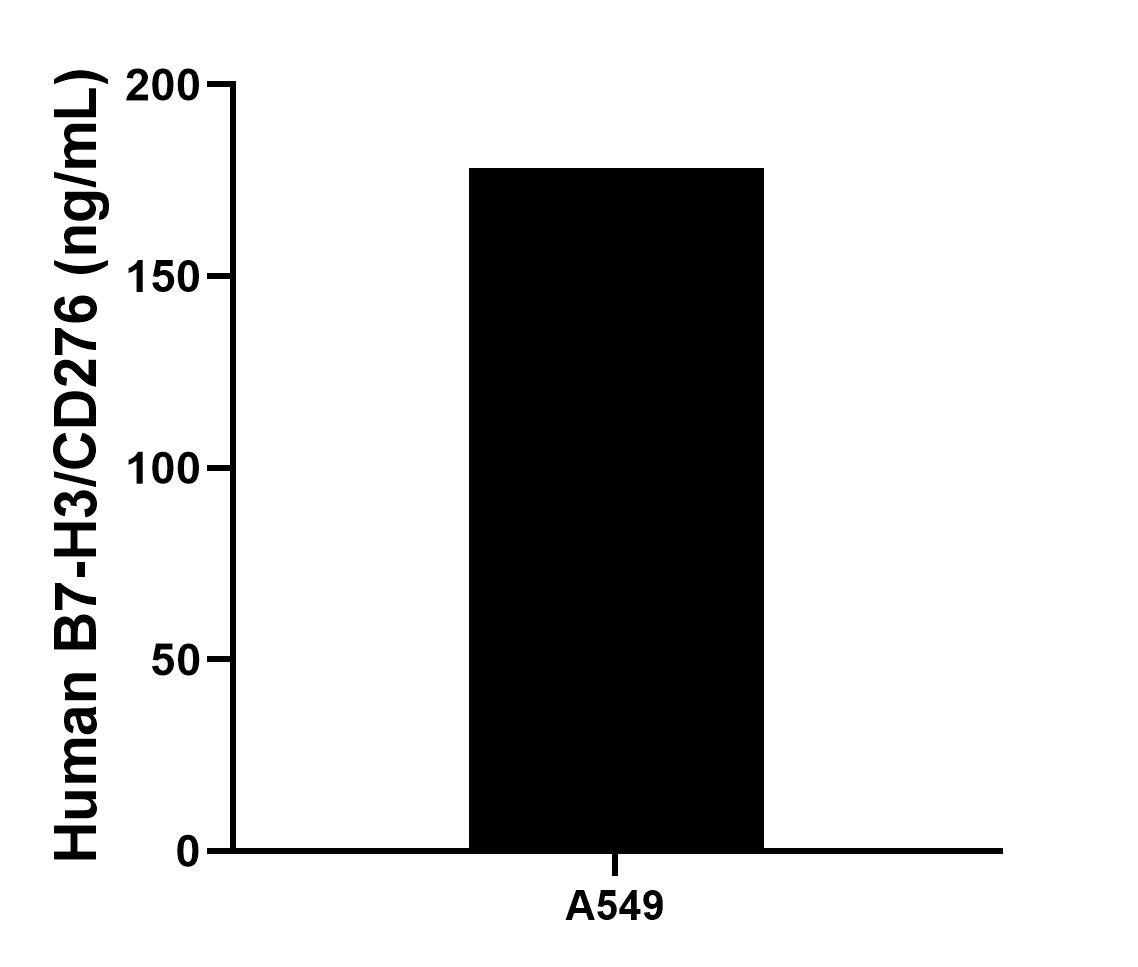 The mean B7-H3/CD276 concentration was determined to be 178.3 ng/mL in A549 cell extract based on a 3.8 mg/mL extract load.